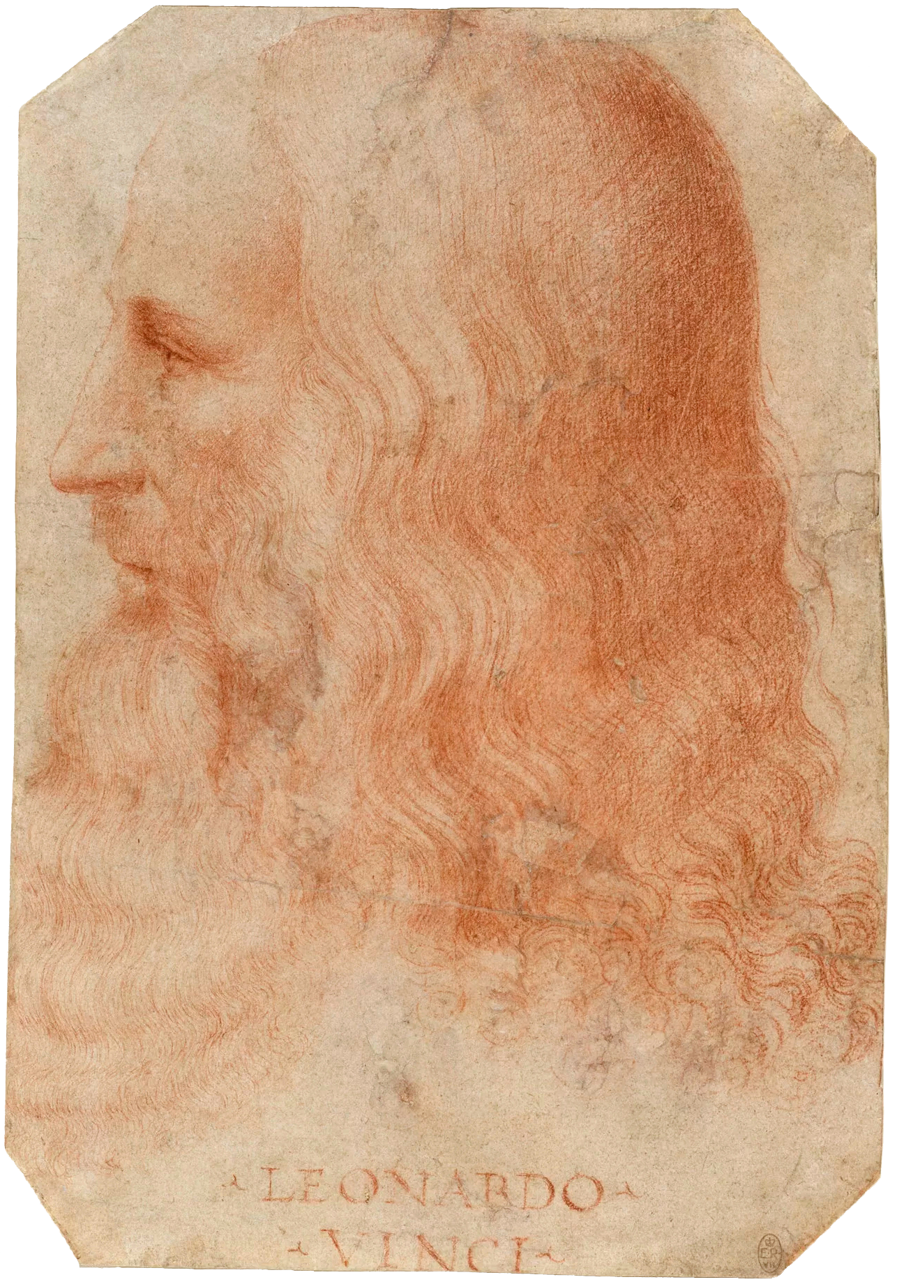 Francesco_Melzi_-_Portrait_of_Leonardo.png