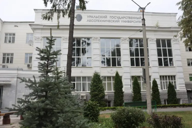 Orman Mühendisliği